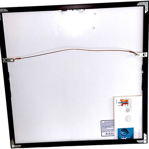 Journee Mondiale de la Sante - World Health Day 1972 Framed Art #50/100 - Picture 6 of 11